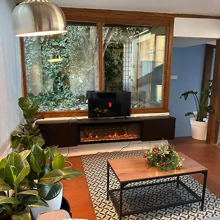 The Vatican Jungle Loft Con Giardino Vicino Al Vaticano Apartment Rome