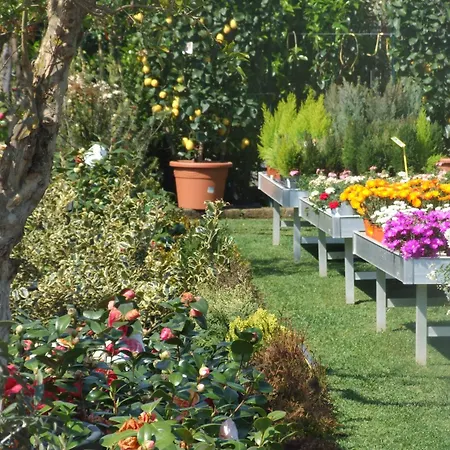Bed and breakfast Residenza I Ciclamini 2*
