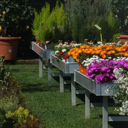 Bed and breakfast Residenza I Ciclamini 2*