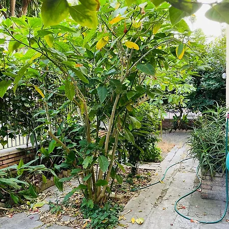 Apartment Baz-house San Paolo Rome