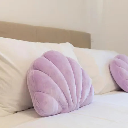 Apartment Cocoon House