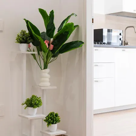 Cocoon House Apartment *