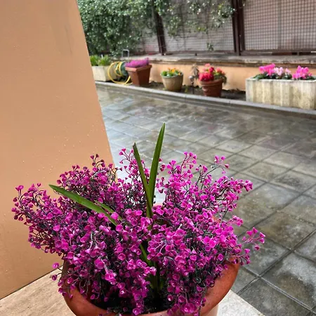 Dei Fiori רומא