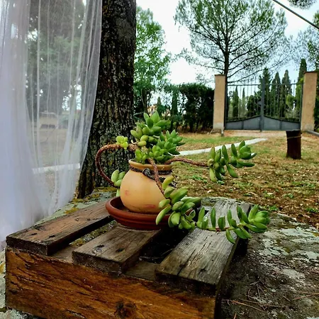 Holiday home Casa Shanti *
