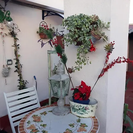 La Casina On The Roof - Rome