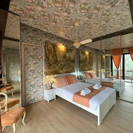 Gemini-vatican Zen Wi Fi Apartment *
