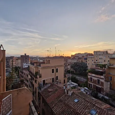 Monti View