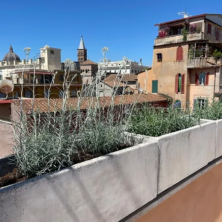 Apartment Monti View