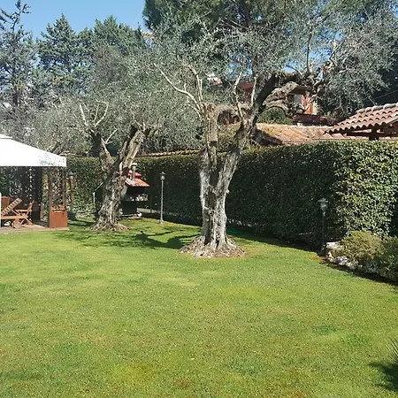 Aurelia Garden Gold 2* Řím