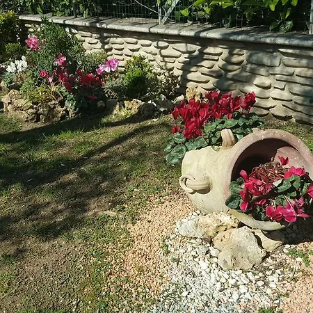 Aurelia Garden Gold