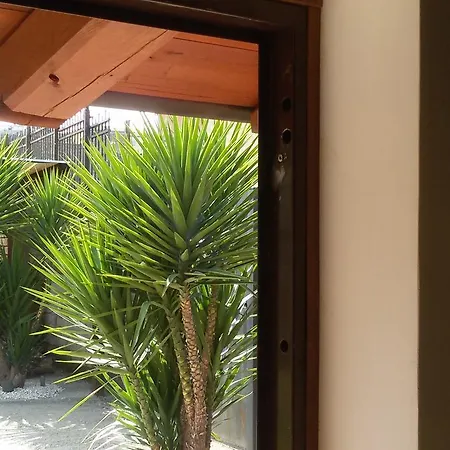 Il Principe Ranocchio Bed & Breakfast Rome