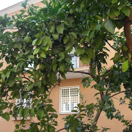 Al Vicoletto Di Trastevere Roma