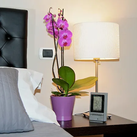 Bed and Breakfast Mazzini