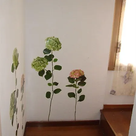 Bed & Breakfast Domus Domiziana