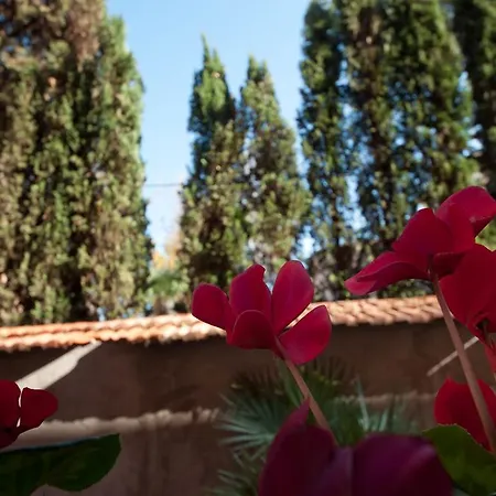 Apartment Casa Moroni Trastevere *