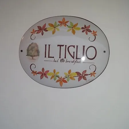 Bed & Breakfast Il Tiglio B&B Rome