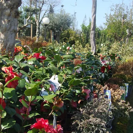 Bed and breakfast Residenza I Ciclamini