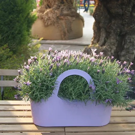 Bed and breakfast Residenza I Ciclamini 2*
