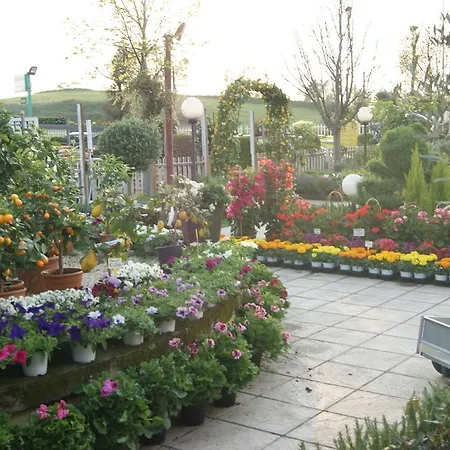 Bed and breakfast Residenza I Ciclamini 2*