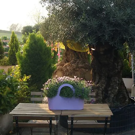 Bed and breakfast Residenza I Ciclamini Roma