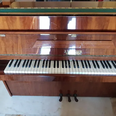 Della Musica Al Vaticano *