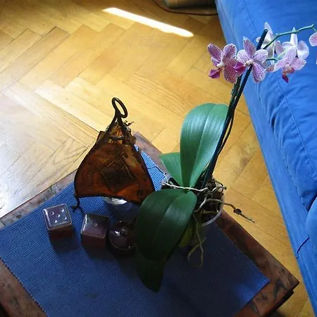 Maria-rosa Hotel