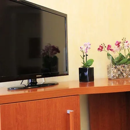 Hotel Delle Rose Roma