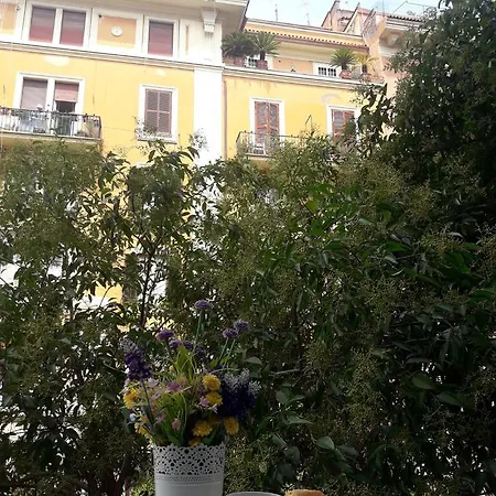 Il Di Amelia 3* Roma