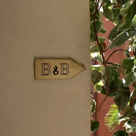 Federici Guest house 3*