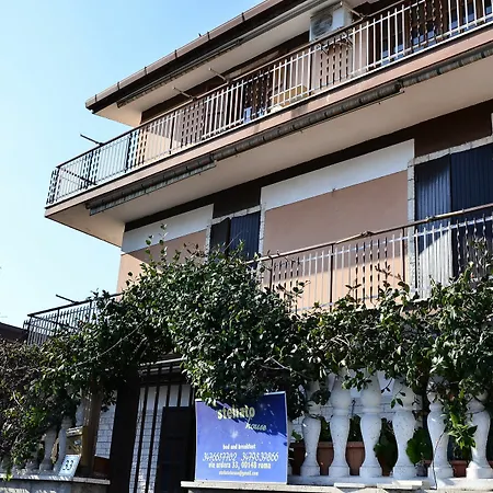 Bed & Breakfast Stellato House *