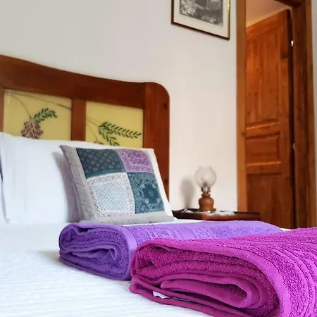 Il Giardino Al Pigneto Holiday home Rome