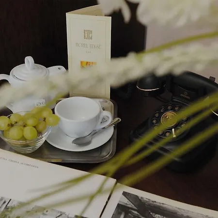 Elyse' Hotel