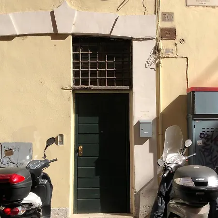 Navona