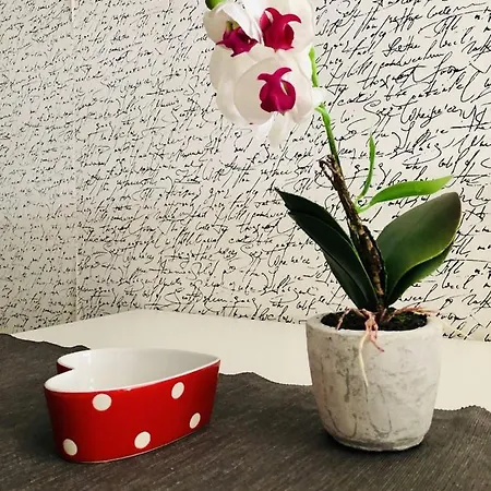 Casamati Apartment