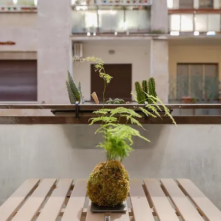 Residenza Il Giglio Guest house Rome
