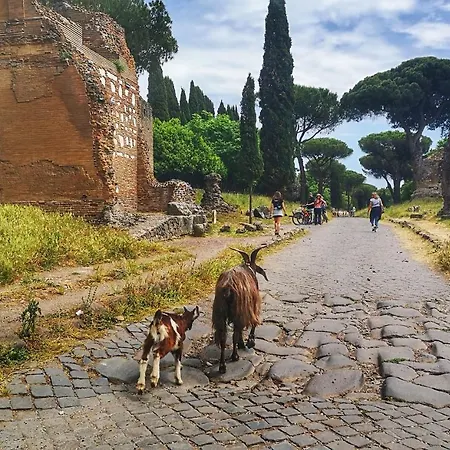 Casa Katiuscia Holiday home Rome