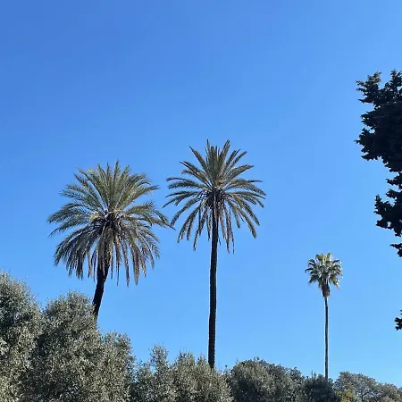 דירה Colosseo Gardens - My Extra *