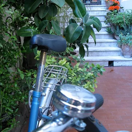 Il Plancton Guest house Rome