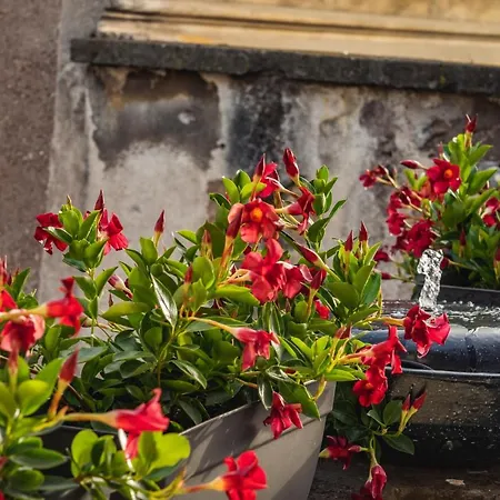 Ag Spanish Steps Terrace Apartamento