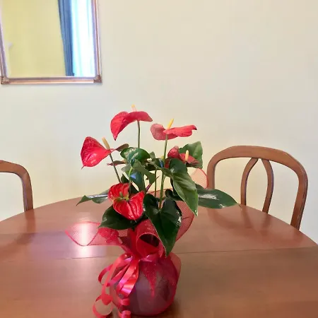 Frühstückspension Il Tesoro Rom