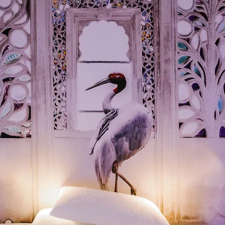 Trevi Elite Guest house