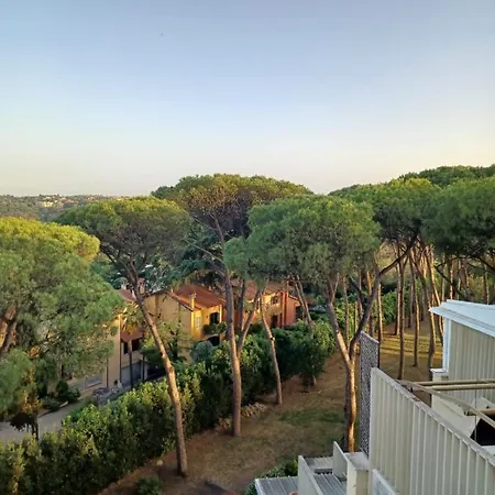 Parco Dei Pini Roma