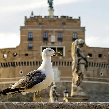 Vendégház Vatican