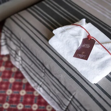 Hotel Grand Colony