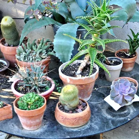 Il Boom Bed & Breakfast Rome