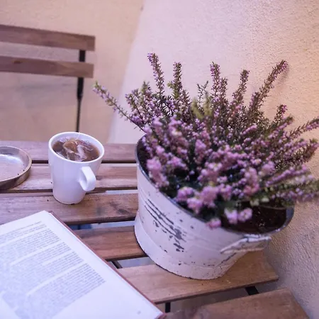 Sweet Luce Di Trastevere Rome