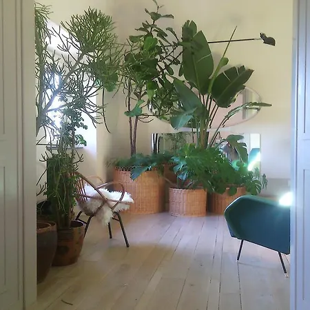 Casa Cavalcanti Bed & Breakfast *