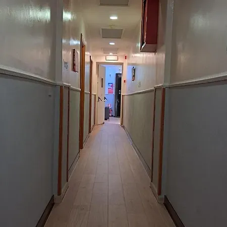 酒店 狮子酒店