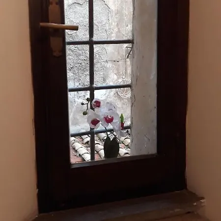 Secret Coronari * Rom