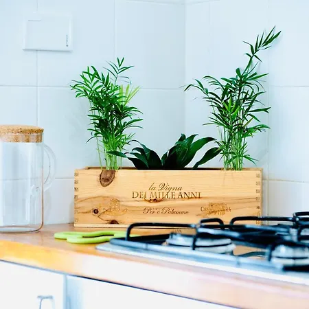 Casa vacanze Plant House San Paolo *